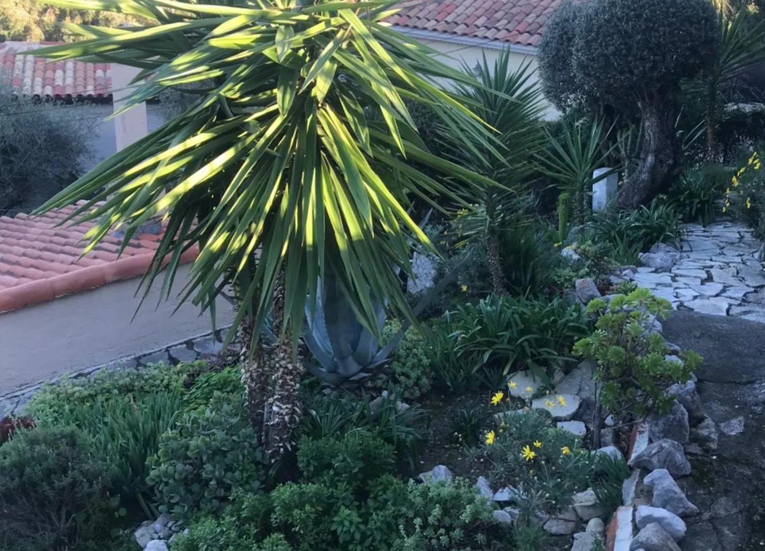 Appartement Villa Toit Terrasse Menton