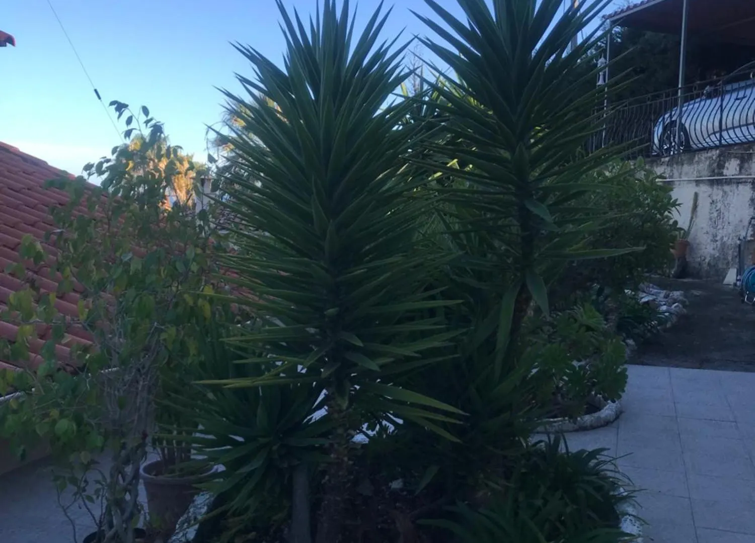 Appartement Villa Toit Terrasse Menton